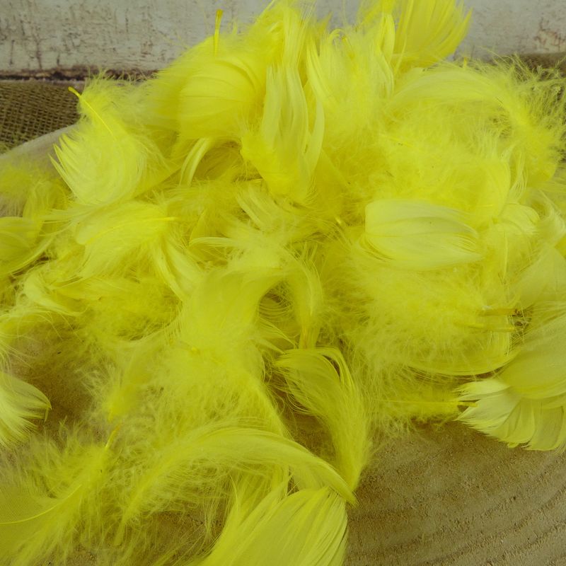 Dekorativní peříčka žlutá- 5g
