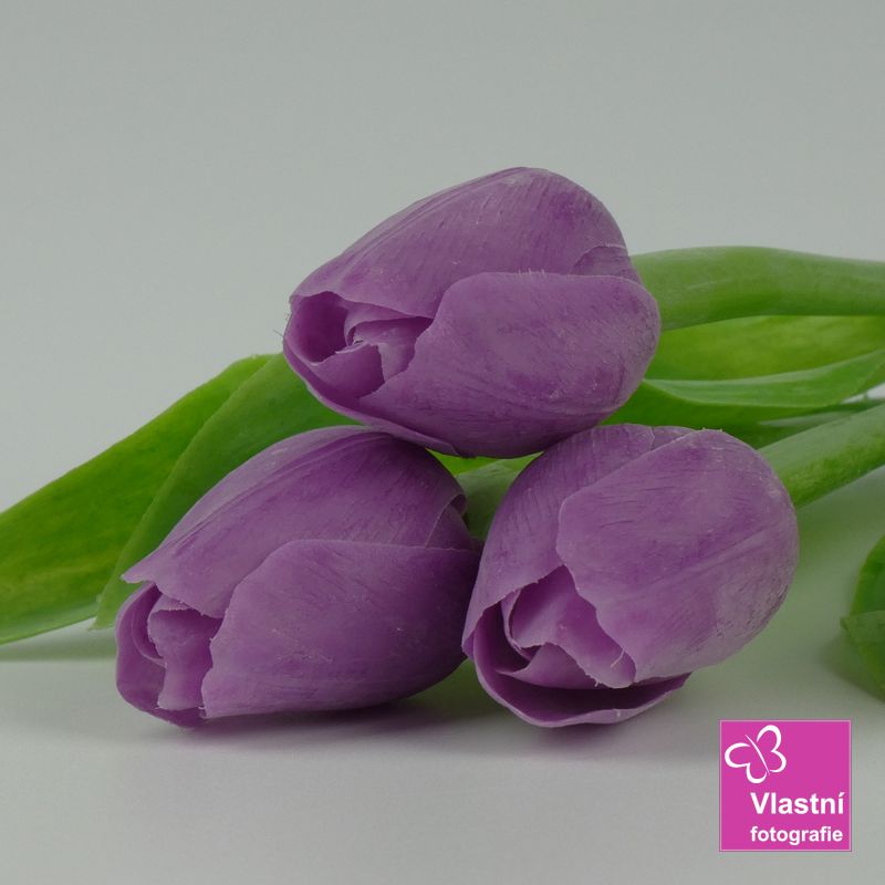 Francouzský umělý tulipán č. 05 – levandulový, 40 cm