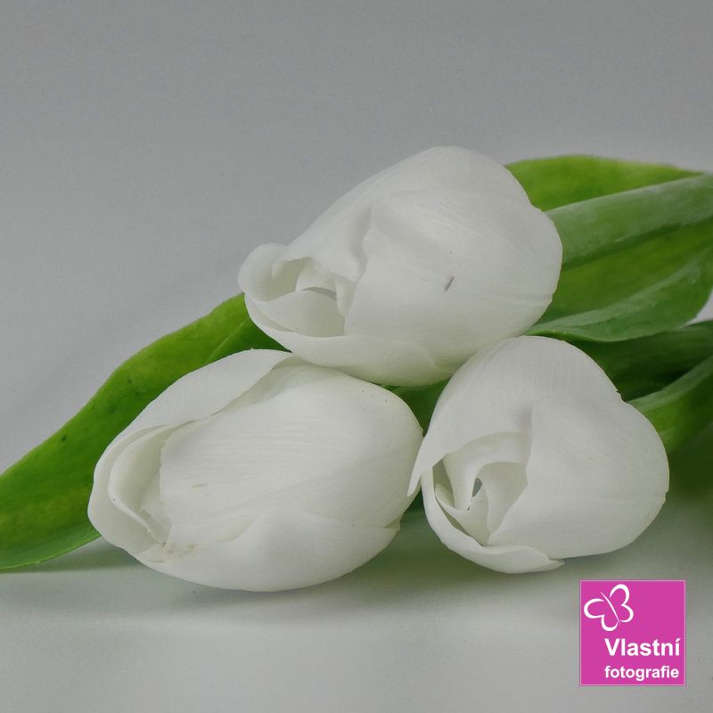 Francouzský umělý tulipán č. 09 – bílý, 40 cm