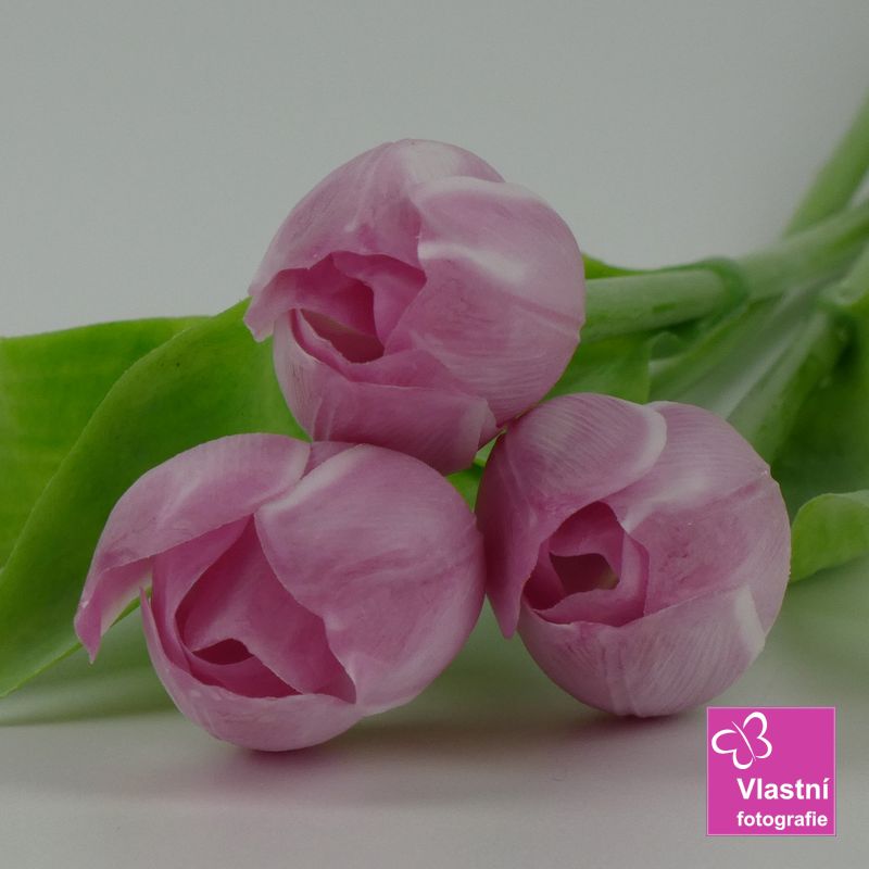 Francouzský umělý tulipán č. 17 – světle růžovo-bílý , 40 cm
