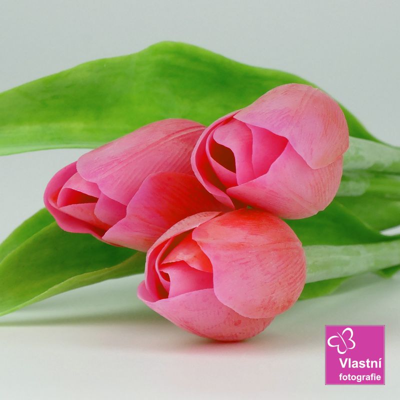 Francouzský umělý tulipán č. 19- červeno- růžový , 40 cm