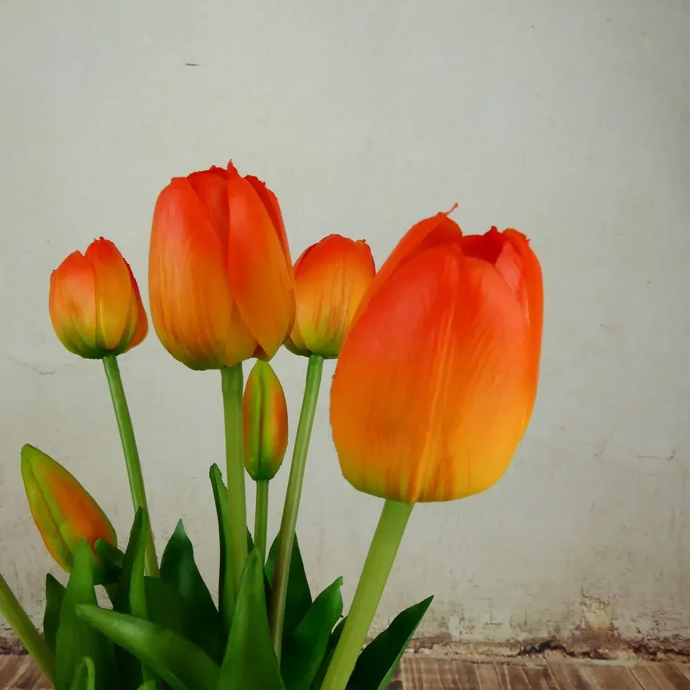 Umělé tulipány gumové- oranžové, svazek 5 ks