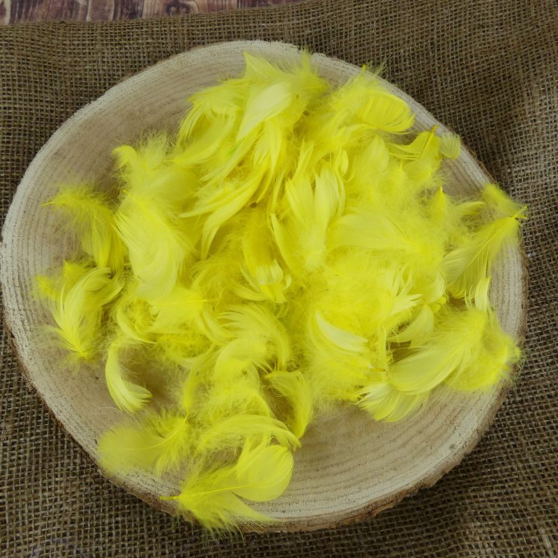 Dekorativní peříčka žlutá- 5g