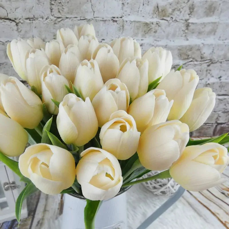 Umělý tulipán krémově bílý- 43 cm, č. 21