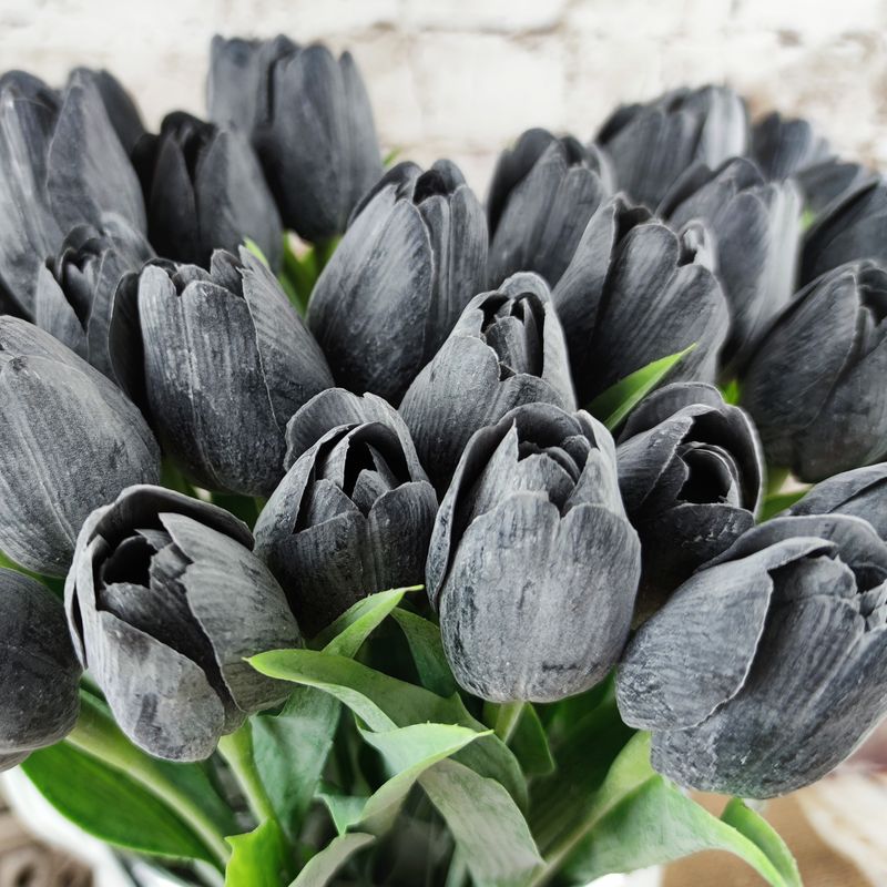 Umělý tulipán černý- 43 cm, č. 31