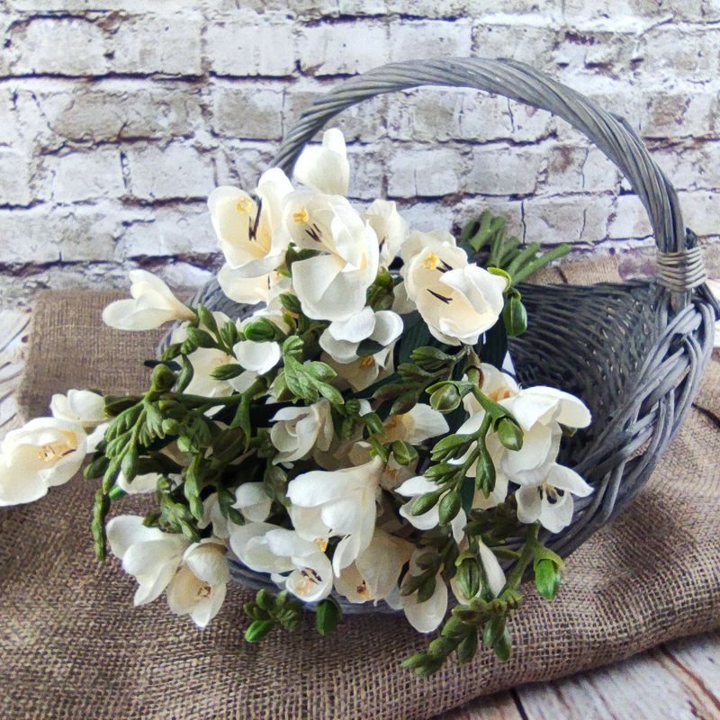 Krémově bílá frézie umělá- 55 cm