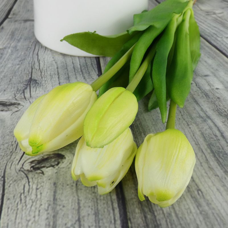 Umělé tulipány latexové krémovo- zelené, svazek 5 ks