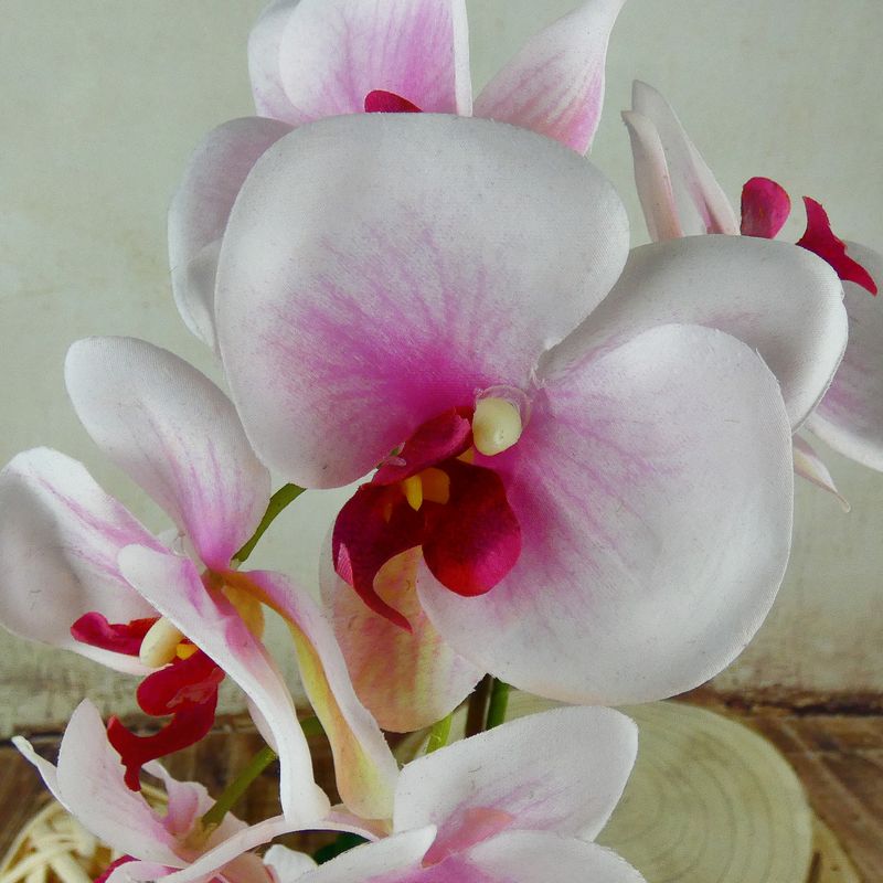 Umělá růžovo-bílá orchidej v květináči 46 cm