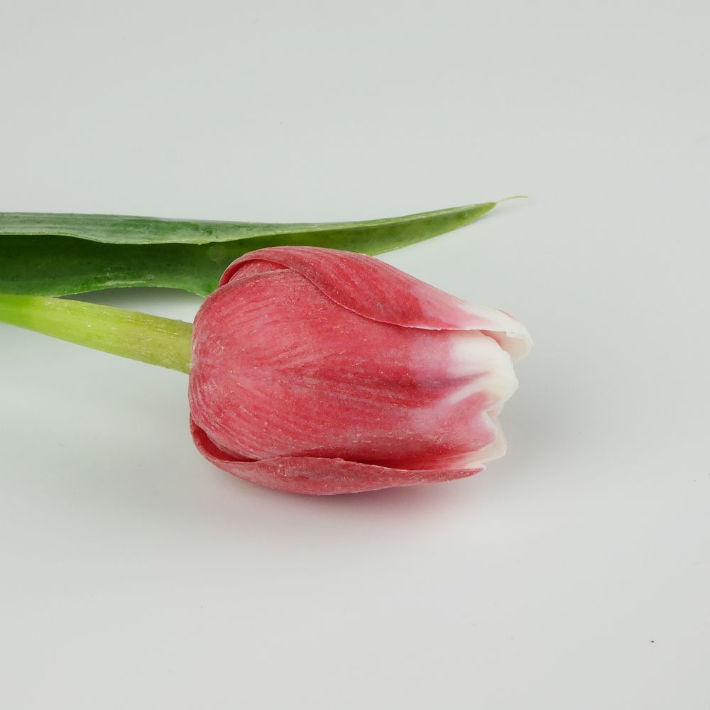 Umělý tulipán červeno- bílý- 43 cm, č. 3