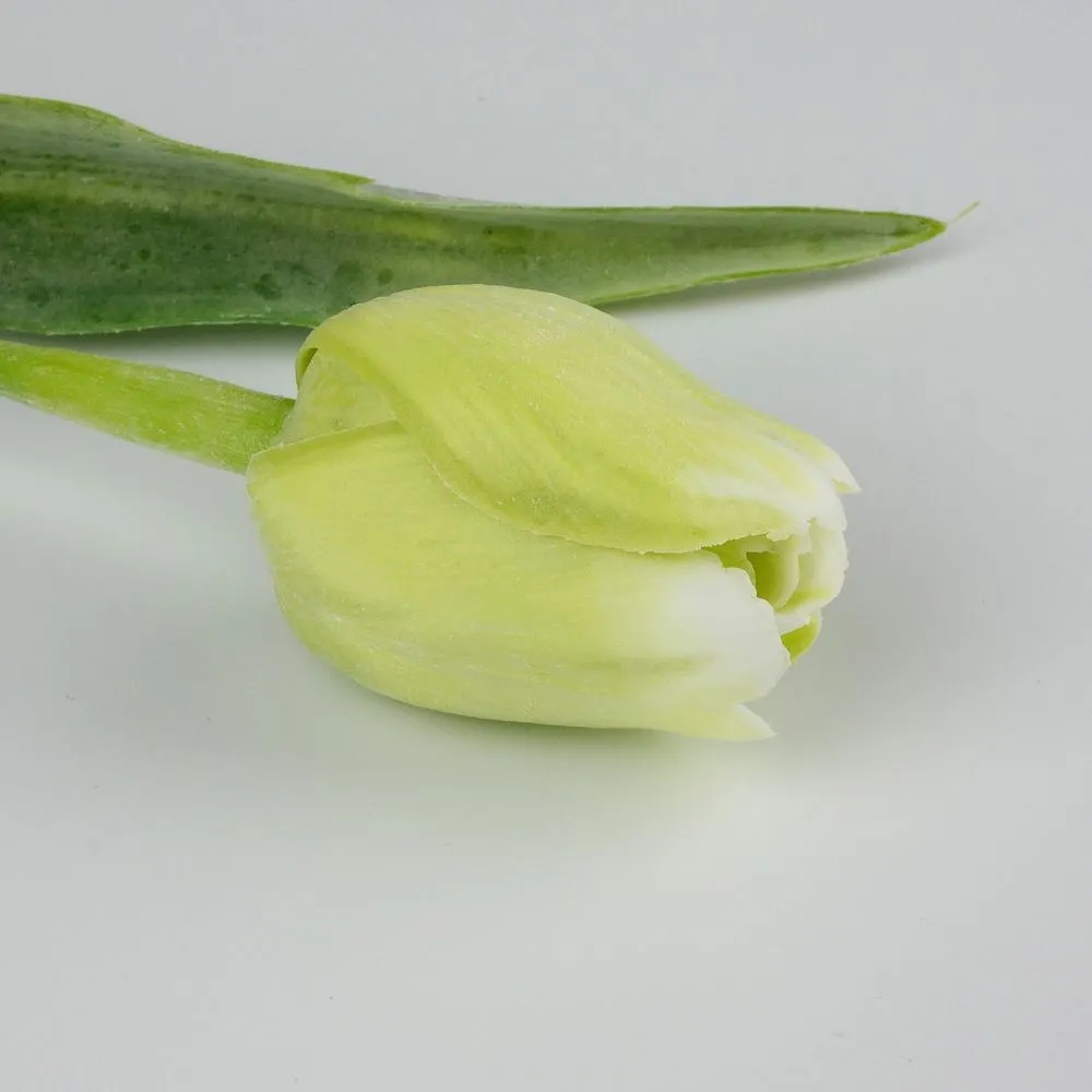 Umělý tulipán světle zelený s bílou špičkou- 43 cm, č. 5