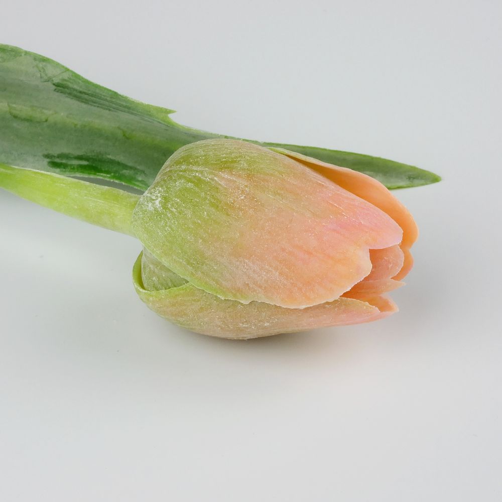 Umělý tulipán broskvovo- zelený- 43 cm, č. 11