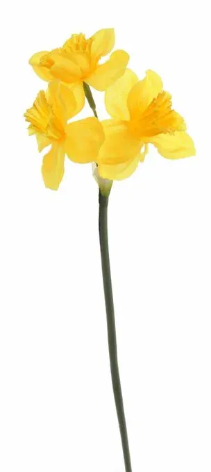 Umělý narcis žlutý- 42 cm