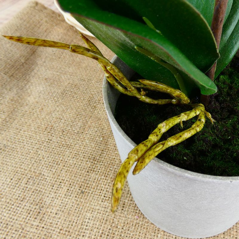 Umělá růžovo-bílá orchidej v květináči 46 cm