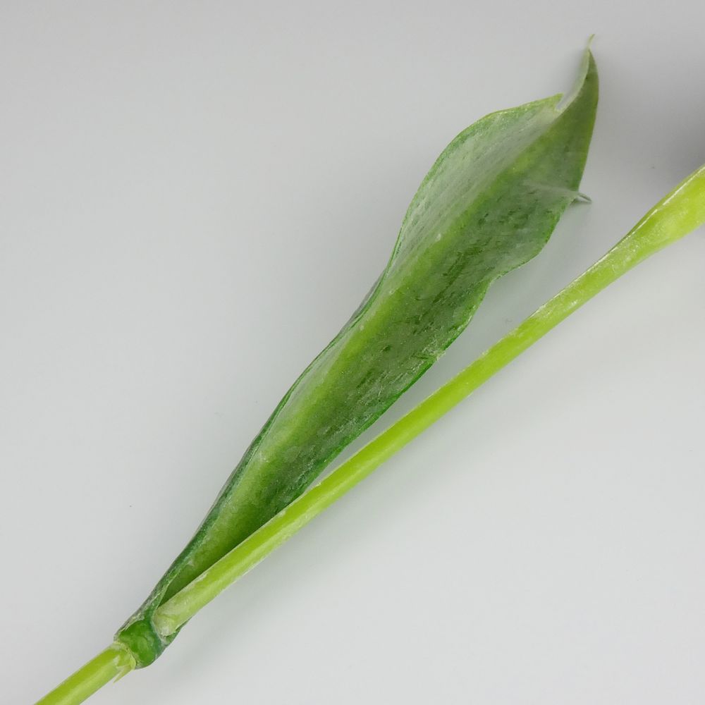 Umělý tulipán světle růžový- 43 cm, č. 16